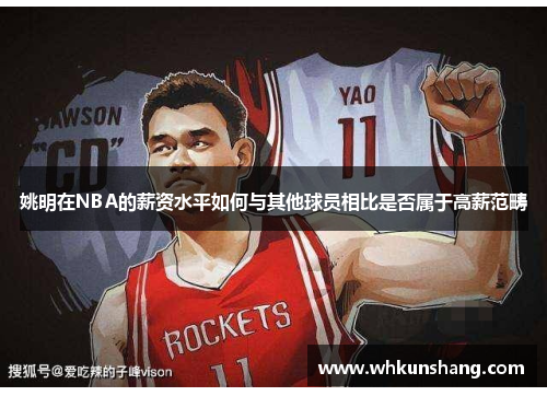 姚明在NBA的薪资水平如何与其他球员相比是否属于高薪范畴