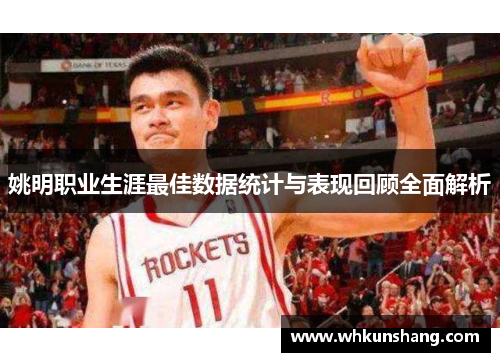 姚明职业生涯最佳数据统计与表现回顾全面解析