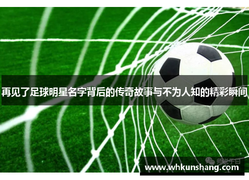 再见了足球明星名字背后的传奇故事与不为人知的精彩瞬间