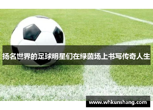 扬名世界的足球明星们在绿茵场上书写传奇人生