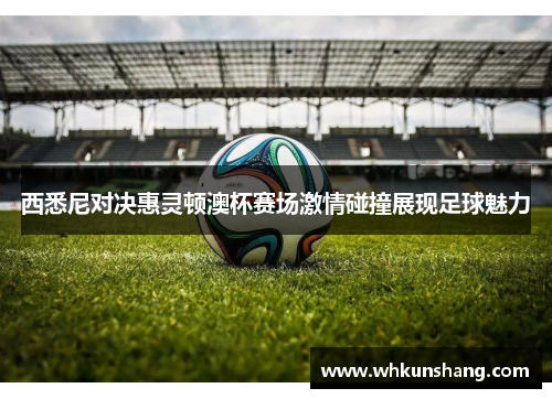 西悉尼对决惠灵顿澳杯赛场激情碰撞展现足球魅力